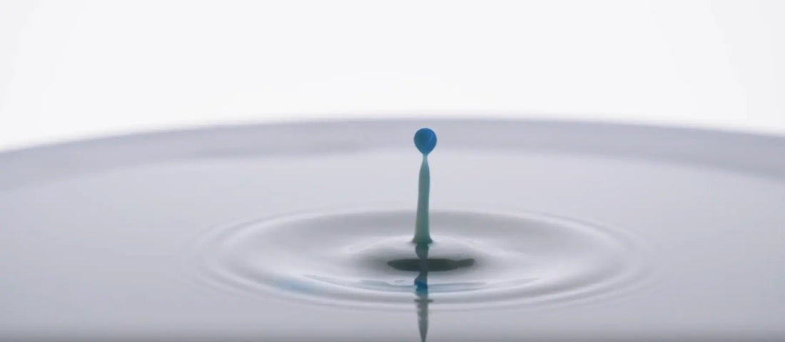 The Adventure of a Carbon Molecule: Where Does Our Energy Come From? - truefuels