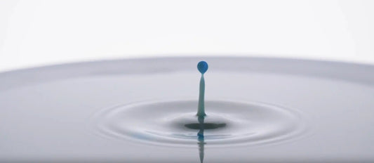 The Adventure of a Carbon Molecule: Where Does Our Energy Come From? - truefuels
